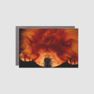 Sleeping Chow Chow cmcnm Car Magnet
