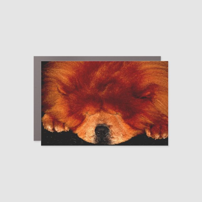 Sleeping Chow Chow cmcnm Car Magnet (Front)