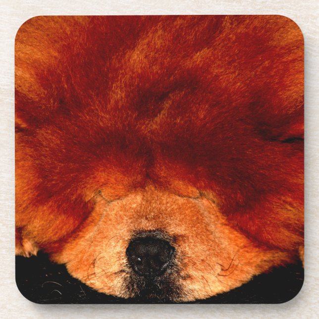 Sleeping Chow Chow coastercna Beverage Coaster (Front)