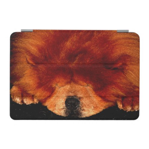 Sleeping Chow Chow ipacna iPad Mini Cover