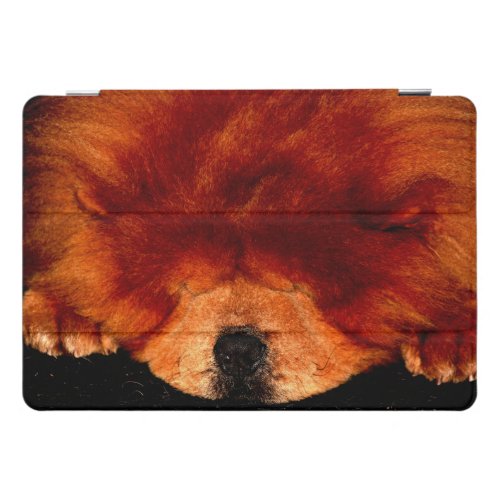 Sleeping Chow Chow ipacna iPad Pro Cover