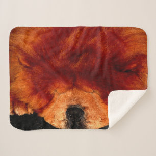Sleeping Chow Chow sbcnm Sherpa Blanket