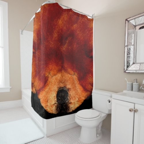 Sleeping Chow Chow sccn Shower Curtain