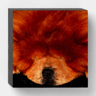 Sleeping Chow Chow wbs6x6a Wooden Box Sign