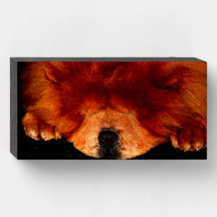 Sleeping Chow Chow wbs8x4cna Wooden Box Sign
