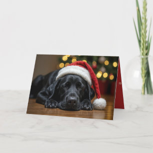 Sleeping Christmas Black Labrador Retriever Holiday Card
