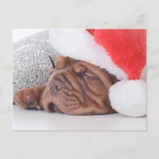 Sleeping Christmas Puppy Holiday Postcard