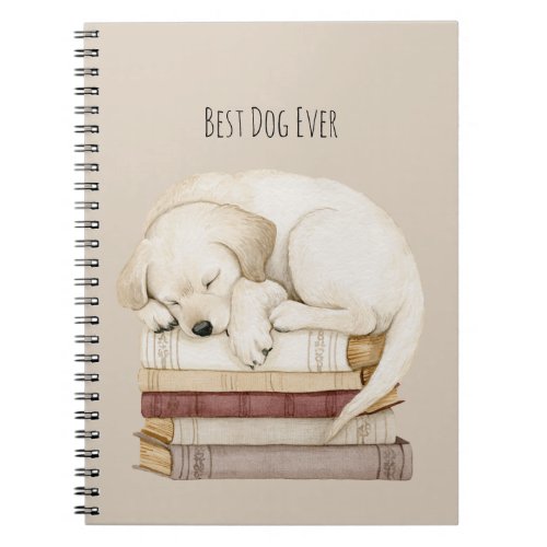 Sleeping Cream Dog on Books