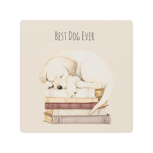Sleeping Cream Dog on Books Metal Print