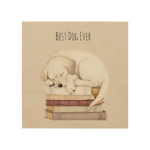 Sleeping Cream Dog on Books Wood Wall Art
