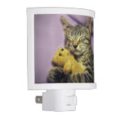 Sleeping Daisy the Kitty Cat Kitten w/ Teddy Bear Night Light (Right)