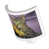 Sleeping Daisy the Kitty Cat Kitten w/ Teddy Bear Night Light (Angled)