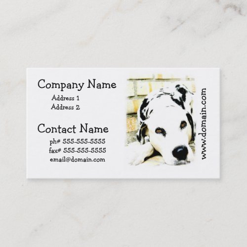 Sleeping Dalmatian Business Cards
