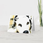 Sleeping Dalmatian Greeting Cards