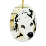 Sleeping Dalmatian Ornaments