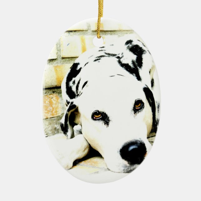 Sleeping Dalmatian Ornaments (Front)