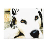 Sleeping Dalmatian Postcards
