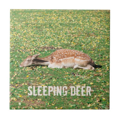 Sleeping Deer in hibernation in autumn on meadow Ceramic Tile