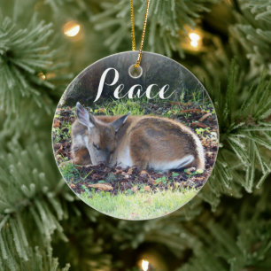 Sleeping Deer Nature Photo Peace Holiday Ceramic Ornament