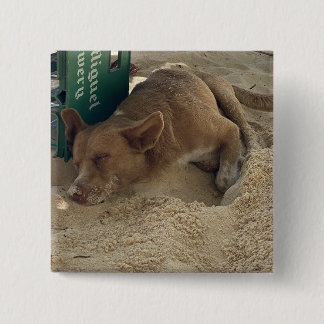 Sleeping dog button