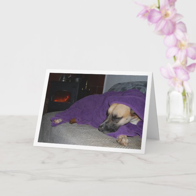 Sleeping Dog by Fireplace Card (Orchid)