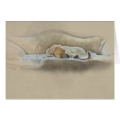 sleeping dog cards (Front Horizontal)
