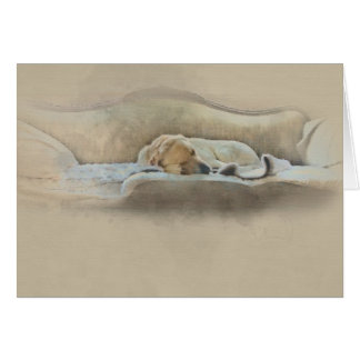 sleeping dog cards