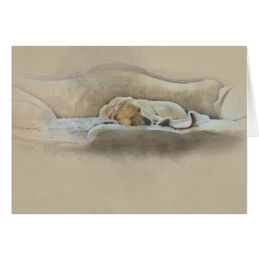 sleeping dog cards (Front Horizontal)