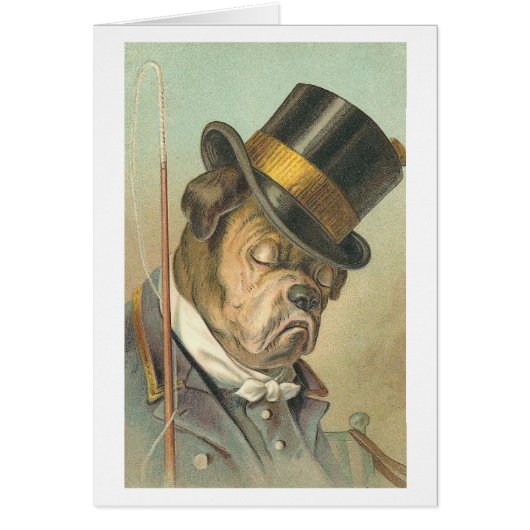 "Sleeping Dog" Vintage Illustration Cards (Front)