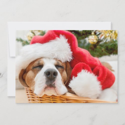Sleeping Dog Weared To Santa Hat Holiday Card