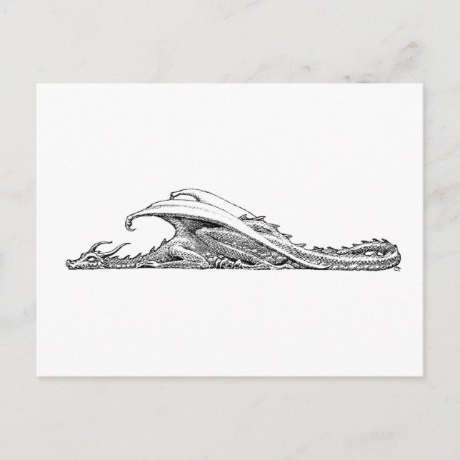 Sleeping Dragon Postcard (Front)