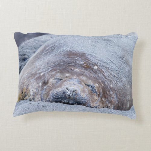 Sleeping elephant seal accent pillow