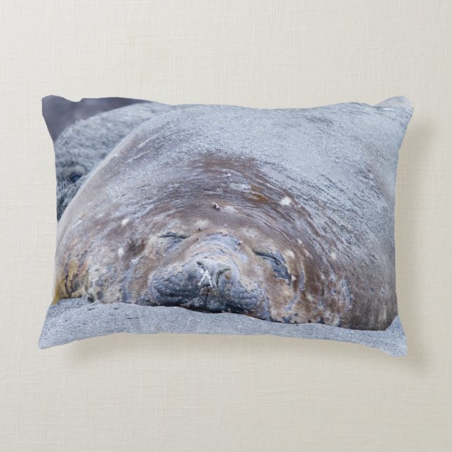 Sleeping elephant seal accent pillow (Back)
