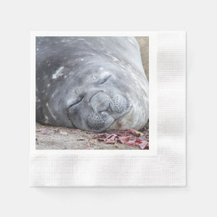 Sleeping elephant seal napkins