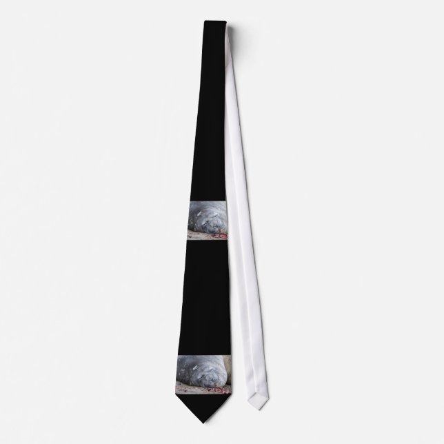 Sleeping elephant seal neck tie (Front)
