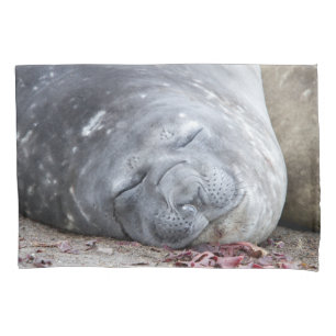 Sleeping elephant seal pillow case