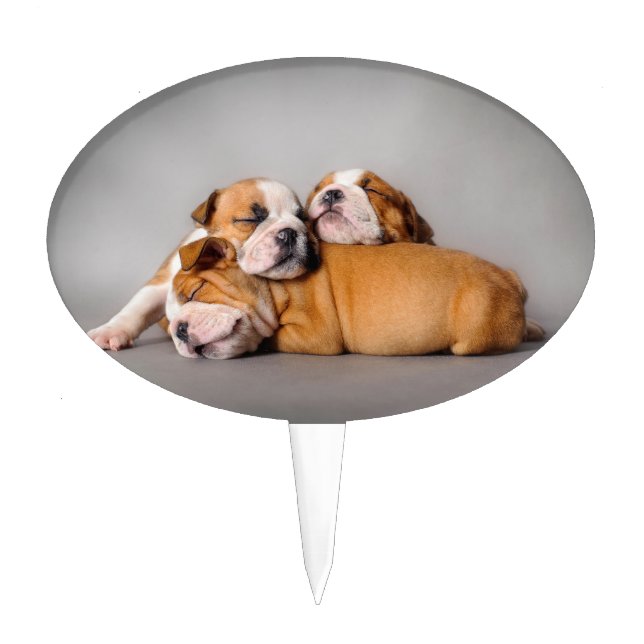 Sleeping English bulldog Cake Topper (Front)