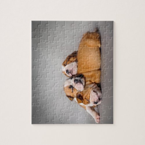 Sleeping English bulldog Jigsaw Puzzle