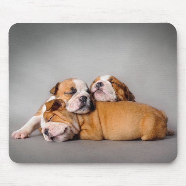 Sleeping English bulldog Mouse Pad (Front)