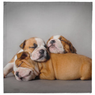 Sleeping English bulldog puppies Napkin