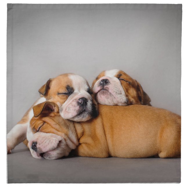 Sleeping English bulldog puppies Napkin (Front)
