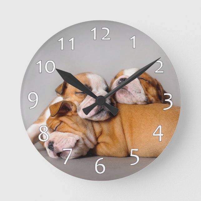 Sleeping English bulldog Round Clock (Front)
