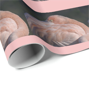 Sleeping Flamingo Wrapping Paper