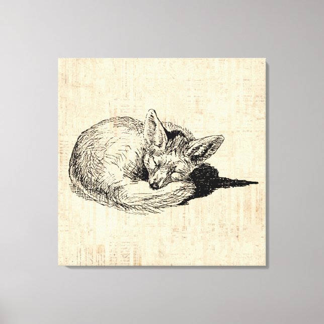Sleeping Fox Illustrated Art Cute Vintage Animal Canvas Print (Front)