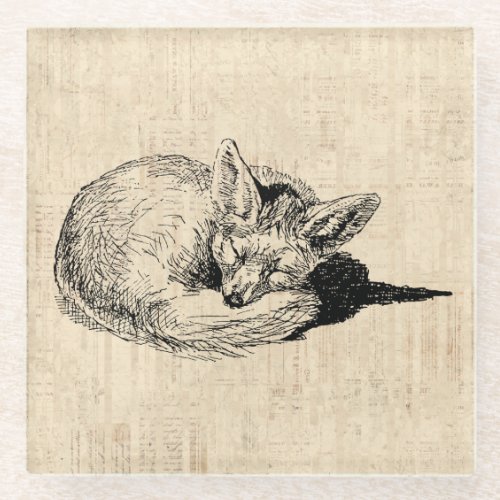 Sleeping Fox Illustrated Art Cute Vintage Animal Glass Coaster