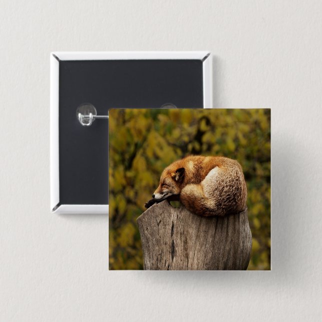 sleeping fox photo button (Front & Back)