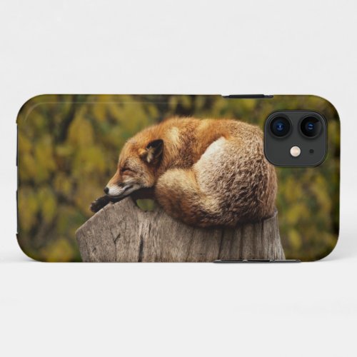 Sleeping fox photo iPhone 11 case
