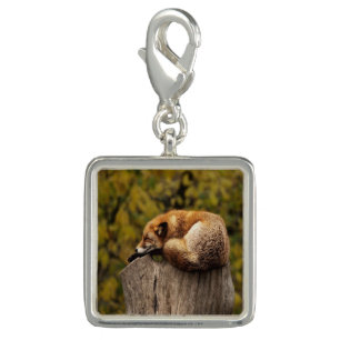 sleeping fox photo charm