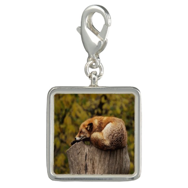 sleeping fox photo charm (Front)
