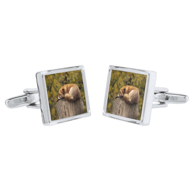 Sleeping fox photo cufflinks (Angled)
